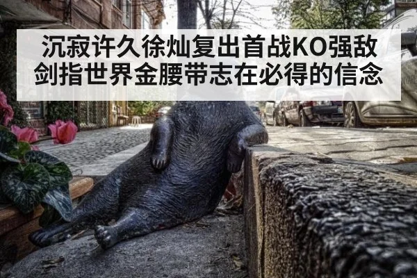 沉寂许久徐灿复出首战KO强敌 剑指世界金腰带志在必得的信念